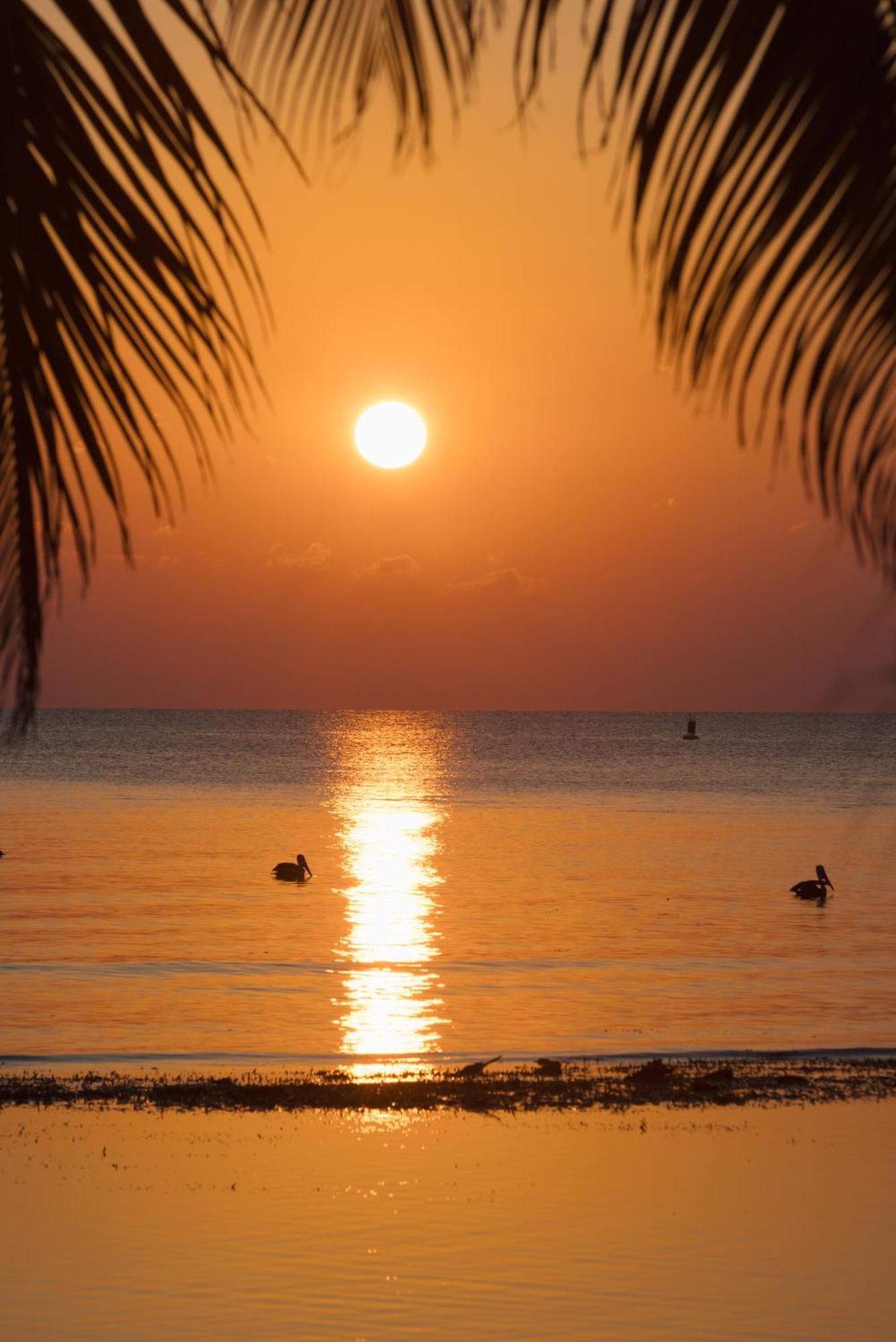 Blue Marlin Beach Resort Dangriga Exterior foto