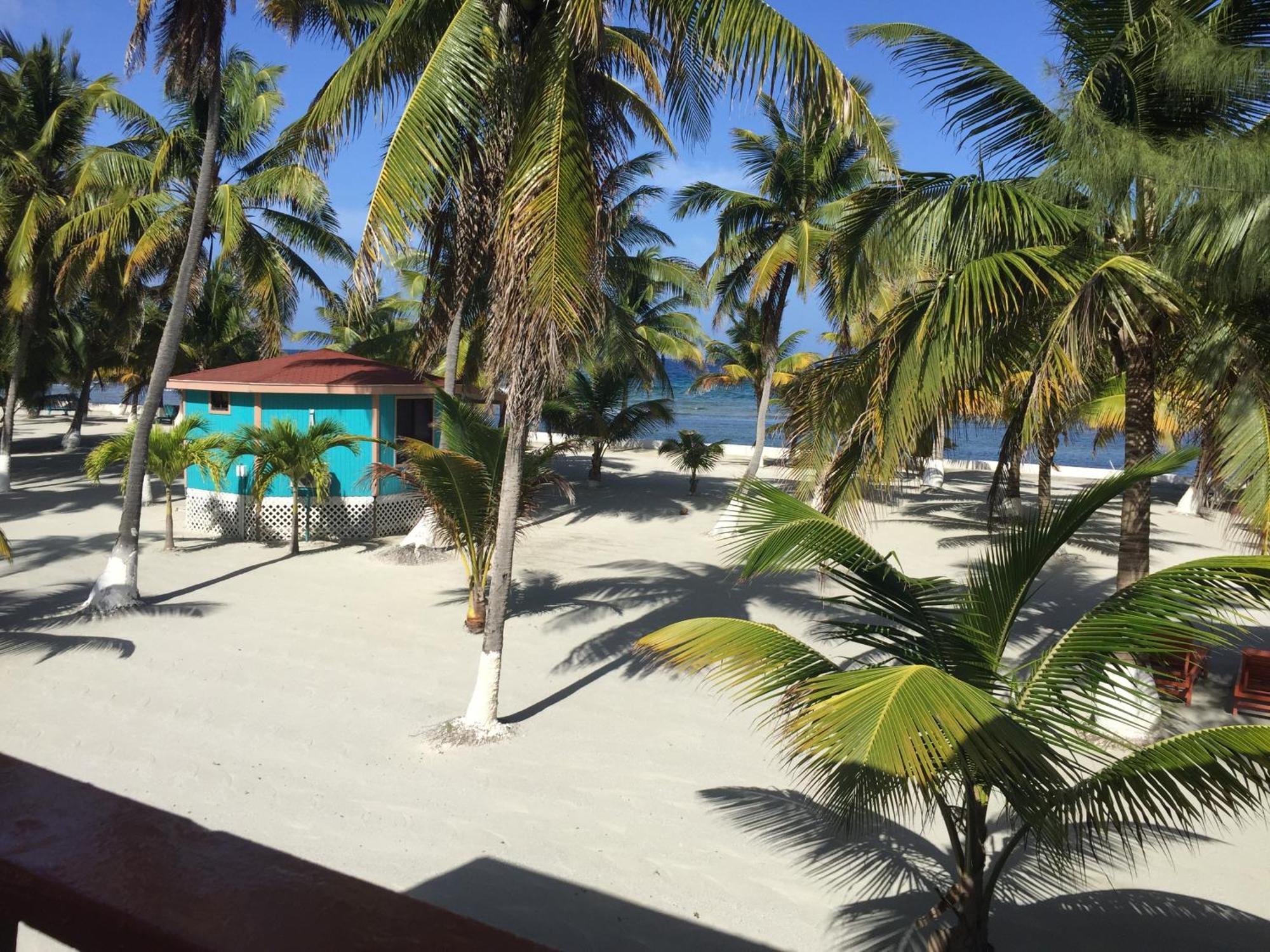 Blue Marlin Beach Resort Dangriga Exterior foto